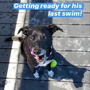 Meet your Posher, Nora